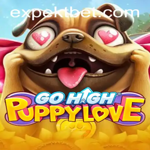 Exploring GoHighPuppyLove: A New Era in Gaming with the Unique 16 Bet System