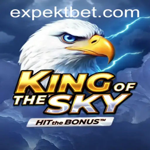 Soar High with KingOfTheSky: A Comprehensive Guide to Mastering the Art of '16 Bet'