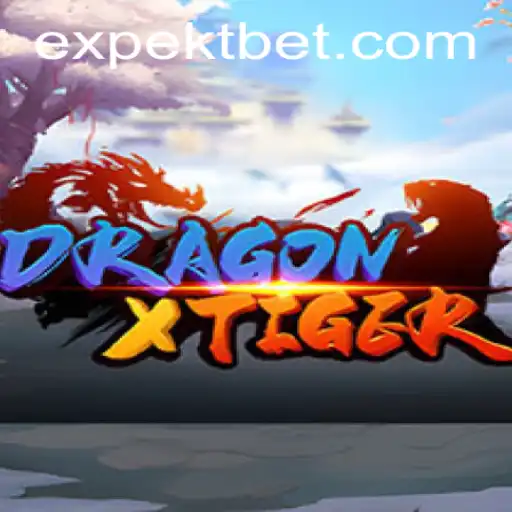 Explore the Exciting World of DragonXTiger and Discover the Thrill of the 16 Bet